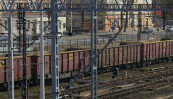 लहानगा रेल्वे रुळावर बॉल आणायला गेला आणि मालगाडीने उडवलं