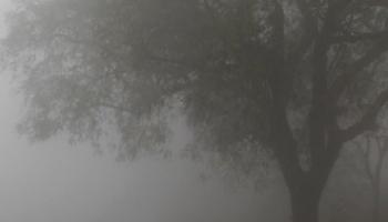 दसऱ्याच्या मुहूर्तावर खान्देशात थंडीची चाहून