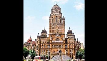 पेंग्विनच्या मुद्द्यावर सगळ्या पक्षांनी तोडले अकलेचे तारे