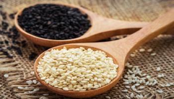 संक्रांतीच्या दिवशी तीळ का खातात?जाणून घ्या वैज्ञानिक कारण