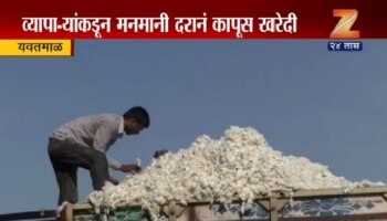 सरकारी हमीभाव गेला चुलीत... व्यापारीच खातायत मलिदा!