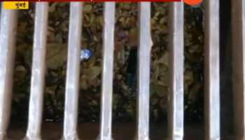 Mumbai Matunga HSC Student Throws Mobile Phone In Gutter For Getting It In Examination Hall