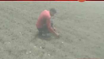 State Governament Take Action Against Fake Fertilizers Company
