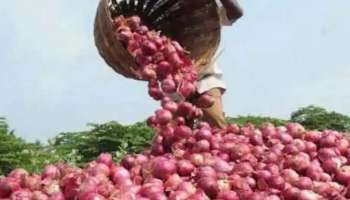 भारताने पाळला शेजारधर्म : संकटात अडकलेल्या देशाला पाठवला २५ हजार टन कांदा