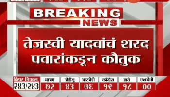 Bihar Election NCP Supremo On Tejesvi Yadav And Devendra Fadanvis