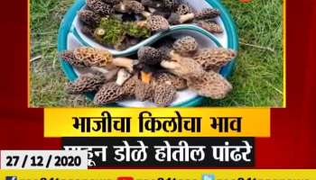 Special Report Most Expensive Vegetables