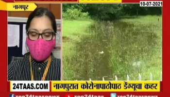 Dengu Enter In Nagpur After Corona Update