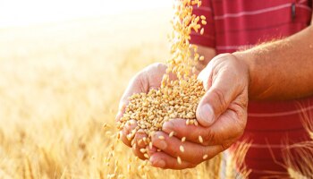 Ration Card | लवकरच रेशन लाभार्थ्यांच्या पात्रतेत बदल; जाणून घ्या नवीन नियम