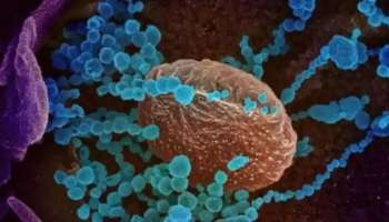 कोरोनाचा धोका वाढतोय, मुंबईतील चार कुटुंबे बाधित; लसीकरणामुळे अनेकांना नियमांचा विसर