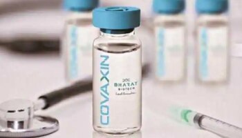 Covaxinच्या मंजूरीसाठी का होतोय विलंब? WHOने सांगितलं कारण