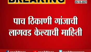 Beed Ganja Farm Found At Halab Village
