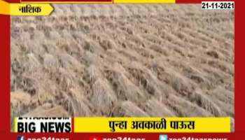 Pune, Nashik, Jalana Rain news