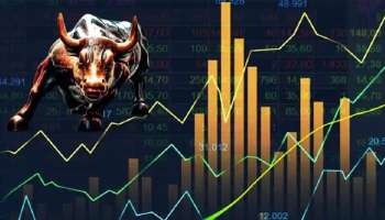 100 रुपयांपेक्षाही कमी किंमतीचा मल्टीबॅगर स्टॉक; एक्सपर्ट्सचा आणखी गुंतवणूकीचा सल्ला