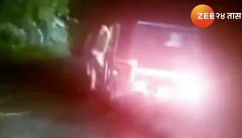 Indian bison hit auto Rickshaw