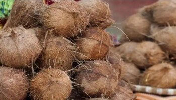 Coconut : नारळ फोडताय? &#039;या&#039; गोष्टीची विशेष काळजी घ्या 