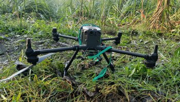 Big News : पाकिस्तानच्या नापाक मनसुब्यांच्या चिंधड्या; सीमा भागात शोध घेतला आणि... 