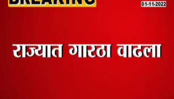 After Diwali in the state, the temperature drops, many cities experience pink winter