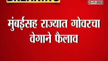 After Mumbai, the state is now the epicenter of 'this' disease