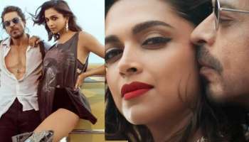 हा भारत आहे पाकिस्तान नाही... कळतंय का? SRK वर भडकला अभिनेता