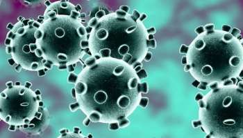 कोरोनाबाबत अतिशय महत्त्वाची बातमी, जगाची 10 टक्के लोकसंख्या Coronavirus च्या विळख्यात ?