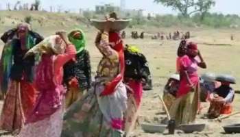 मनरेगासाठी नवा नियम 1 जानेवारीपासून लागू होणार, काय फरक पडणार? जाणून घ्या