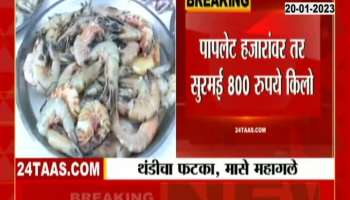 An increase in the price of fish in the winter