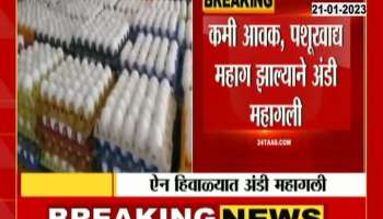 Egg Price Hike In Winter Season