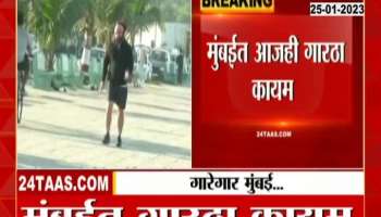 Cold wave continues in Mumbai! What temperature in which area?