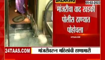 Pune fight for Cat