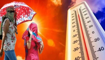 Heat Wave : फेब्रुवारी महिन्यात उष्णतेने मोडला 146 वर्षांचा विक्रम, मार्च महिन्यात काय होणार?  