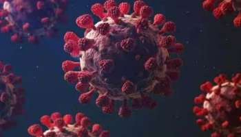 Coronavirus Update : सावधान! राज्यात कोरोना पुन्हा ऍक्टिव्ह, 1956 नवे रुग्ण तर दोघांचा मृत्यू