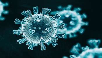  Corona : मोठा दिलासा! लवकरच होणार कोरोनाचा The End,  तज्ज्ञांनी दिली महत्त्वाची माहिती