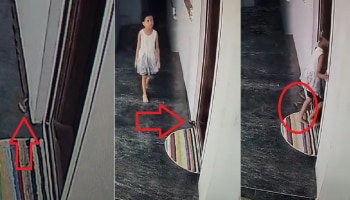 Snake Viral Video : चिमुकलीवर विषारी सापाची नजर; पाहूनच थरकाप उडेल...