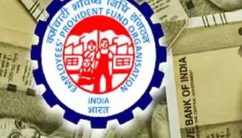 पगारातून PF चे पैसे कट झाले पण खात्यात आले नाहीत का? कंपनीविरोधात अशी करा तक्रार