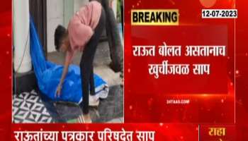 Mumbai Snake Found At MP Sanjay Raut Bhandup Residence