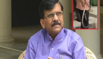 VIDEO : संजय राऊत यांच्या पत्रकार परिषदेत सापाचा फुत्कार; ते बोलत असतानाच तो आला अन्...