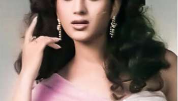Meenakshi Seshadri, Meenakshi Seshadri marriage, Meenakshi Seshadri famous movie, Meenakshi Seshadri actress, sunny deol, entertainment, entertainment news, bollywood, bollywood news, 