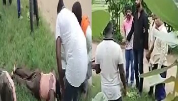 अंगात साप येतो, जमिनीवर सरपटतो! नागपूरात सर्पदंशावर अघोरी उपाय करणाऱ्या भोंदुबाबाचा पर्दाफाश