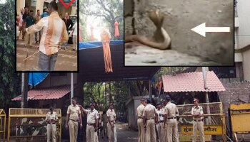 Video : &#039;मातोश्री&#039;वर आढळला विषारी साप, रेस्क्यू ऑपरेशन पाहण्यासाठी उद्धव ठाकरे घराबाहेर 