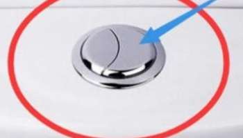 Toilet Flush fact know how this two flush button work in toilet 