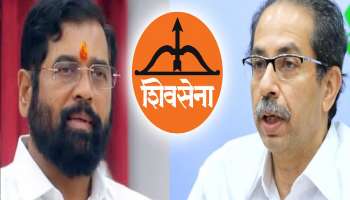 आमदार अपात्रता प्रकरणाच्या सुनावणीत आज काय घडलं? निकाल यावर्षी लागण्याची शक्यता कमी