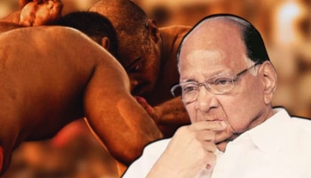 कुस्तीच्या मैदानातही शरद पवारांना धोबीपछाड; प्रमुख पाहुणे म्हणून भाजपच्या &#039;या&#039; बड्या नेत्याला स्थान!