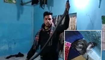 पतीच्या डोक्याशेजारी बसला होता सहा फूटांचा नाग; पत्नीने पाय ओढून वाचवला जीव