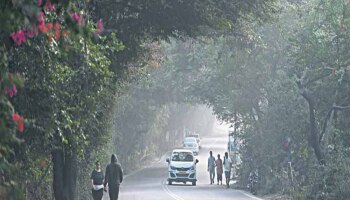 दिवसा उन्हाळा, रात्री हिवाळा; राज्यात हवामानाची विचित्र स्थिती, पाहा तुमच्या जिल्ह्यात काय परिस्थिती 