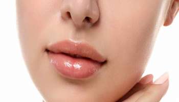 Lips Care Tips : ओठ कोरडे पडत आहेत? करा हे घरगुती उपाय 
