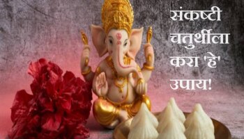 Sankashti Chaturthi 2024 : आर्थिक स्थिती सुधारण्यासाठी द्विजप्रिया संकष्टी चतुर्थीला करा &#039;हे&#039; उपाय!