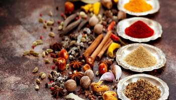 कॅन्सरवर रामबाण उपाय सापडला? भारतीय मसाले वापरुन करणार उपचार, IIT मद्रासच्या संशोधकांनी घेतले पेटंट 