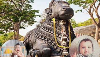महाशिवरात्रीनिमित्त नंदीच्या नावावरुन ठेवा मुलाचे सुंदर नाव 
