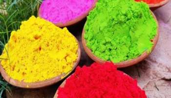 Holi 2024 How is Gulal made Find out in one click