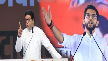 Exclusive : महायुतीला &#039;बिनशर्त&#039; पाठिंबा देणाऱ्या राज ठाकरेंवर आदित्य ठाकरेंचा घणाघात; म्हणाले, भाजपला... 
